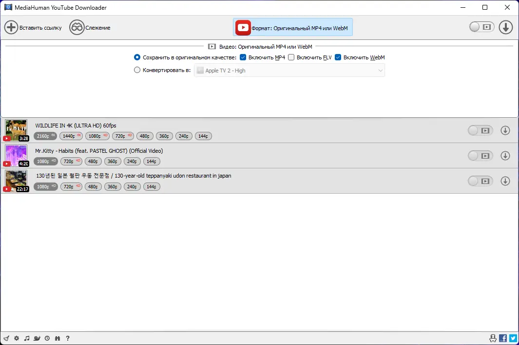 Программный интерфейс MediaHuman YouTube Downloader 3.9.9.79 (2101) RePack (& Portable) by elchupacabra [Multi Ru]