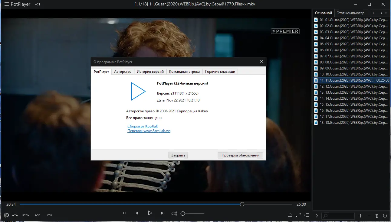 Программный интерфейс PotPlayer 211118 (1.7.21566) RePack (& Portable) by KpoJIuK [Multi Ru]
