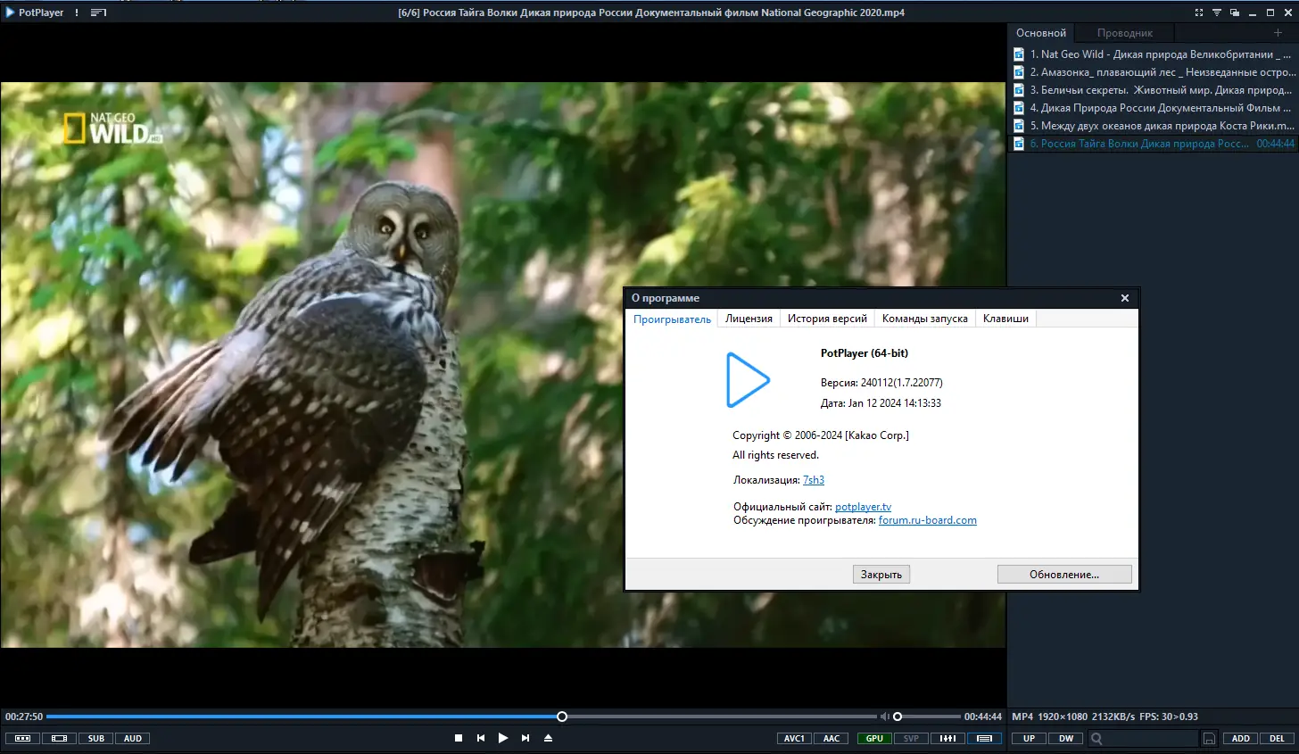 Программный интерфейс PotPlayer 240112 (1.7.22077) (x64) Stable RePack (& portable) by 7sh3 [Multi Ru]