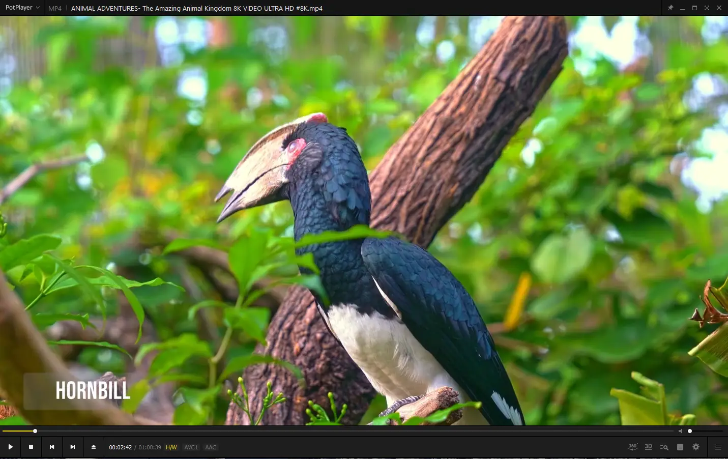 Программный интерфейс PotPlayer 240307 (1.7.22125) Stable + Portable (x86 x64) by SamLab [Multi Ru]