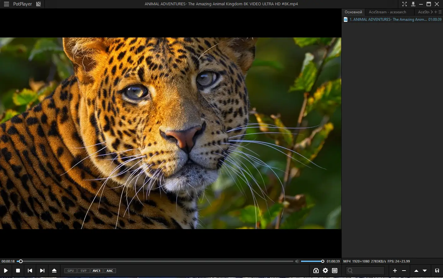 Программный интерфейс PotPlayer 240315 (1.7.22129) RePack (& portable) by elchupacabra [Multi Ru]