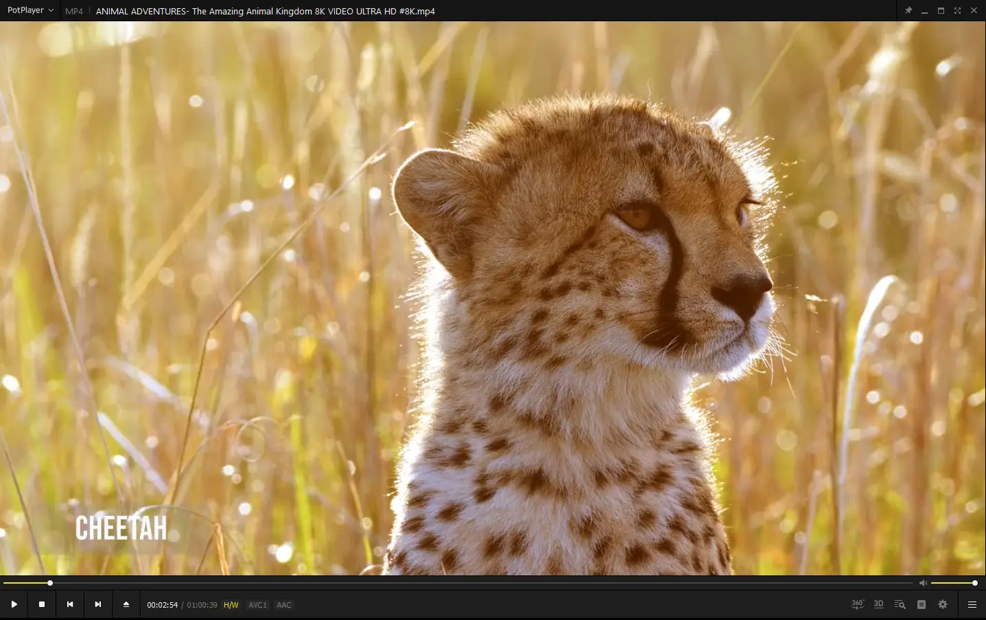 Программный интерфейс PotPlayer 240315 (1.7.22129) Stable + Portable (x86 x64) by SamLab [Multi Ru]