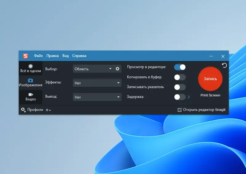 Программный интерфейс TechSmith Snagit 2024.0.1 build 555 (x64) RePack by elchupacabra [Multi Ru]
