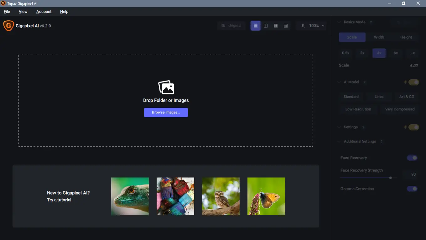 Программный интерфейс Topaz Gigapixel AI 6.2.0 (02.08.2022) RePack by KpoJIuK [En]