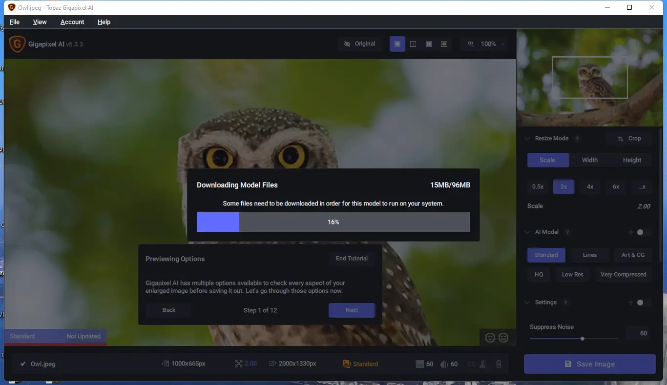 Программный интерфейс Topaz Gigapixel AI 6.3.3 Portable by 7997 [En]