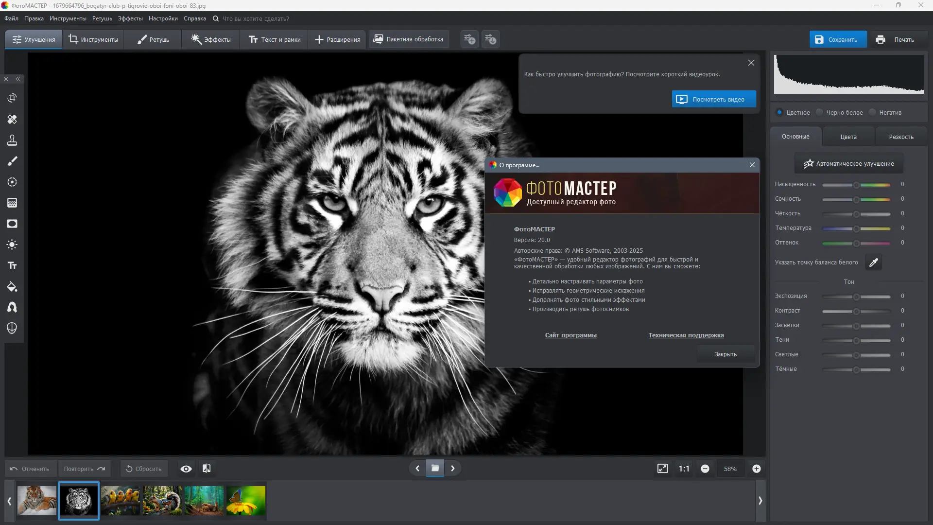 Работа с приложением