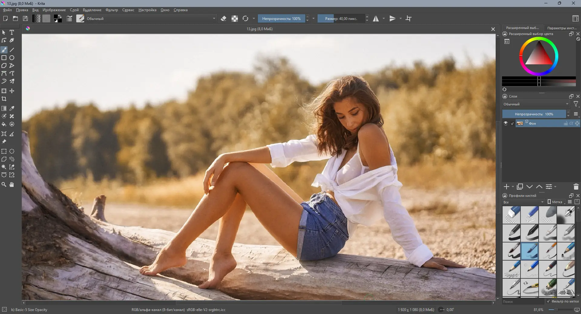 Работа с приложением