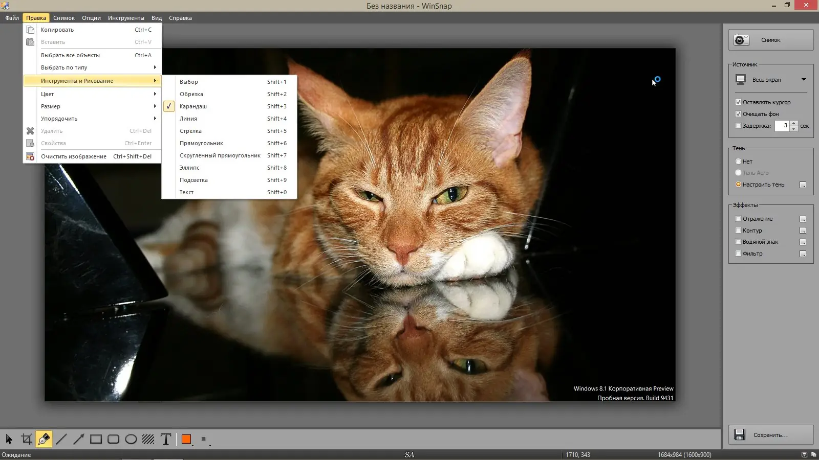 Работа с приложением