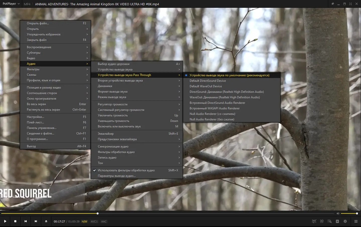 Работа с приложением