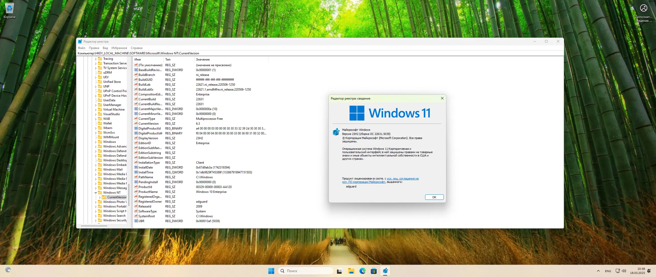 Работа с приложением