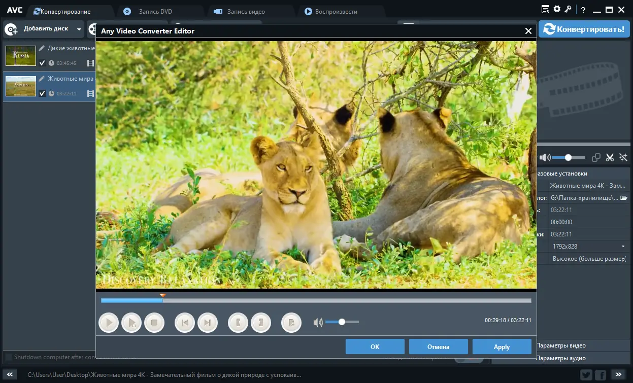 Работа с приложением