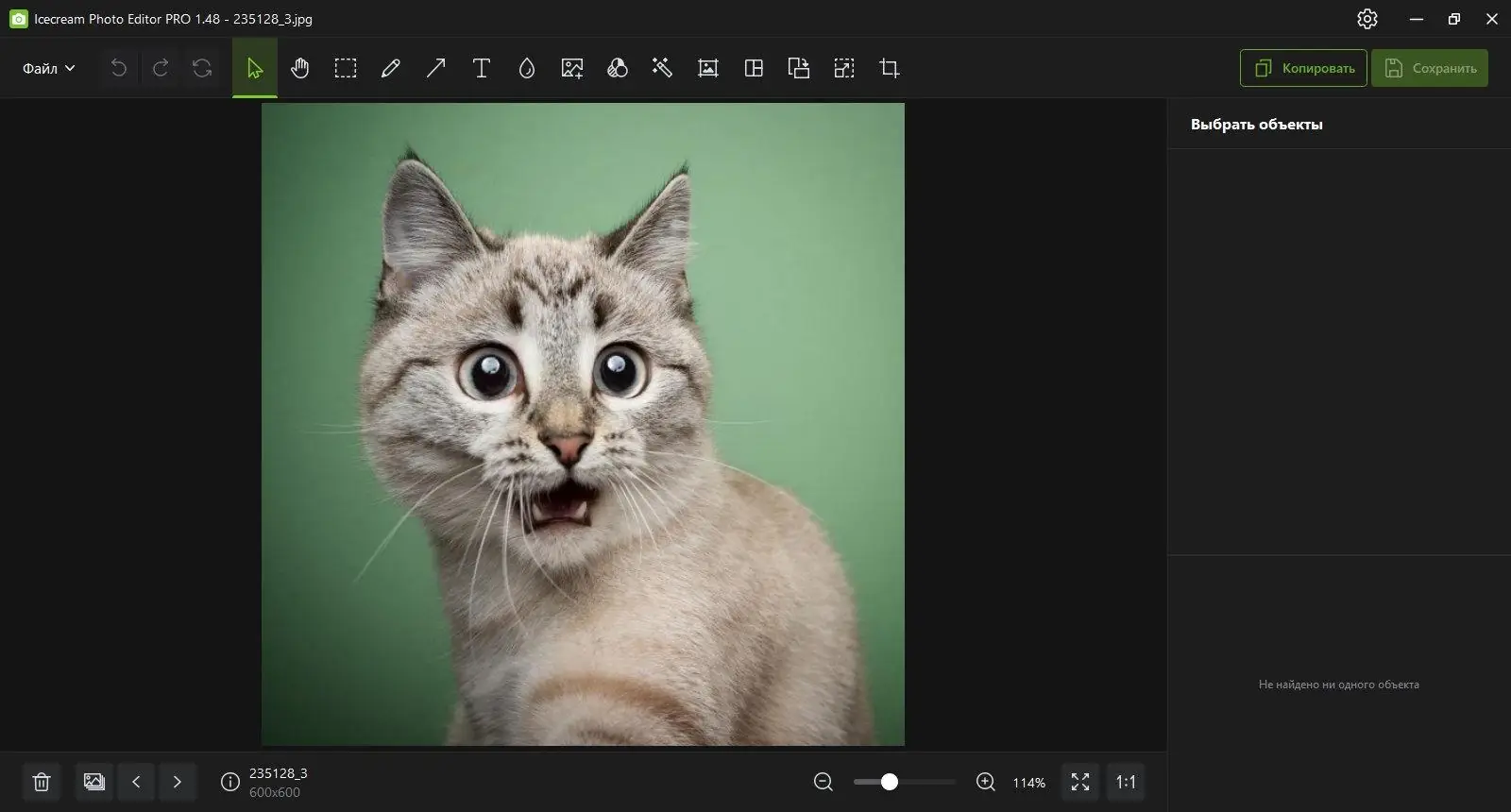 Работа с приложением