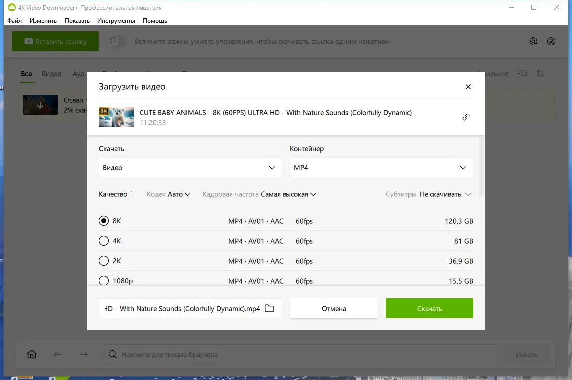 Работа с приложением