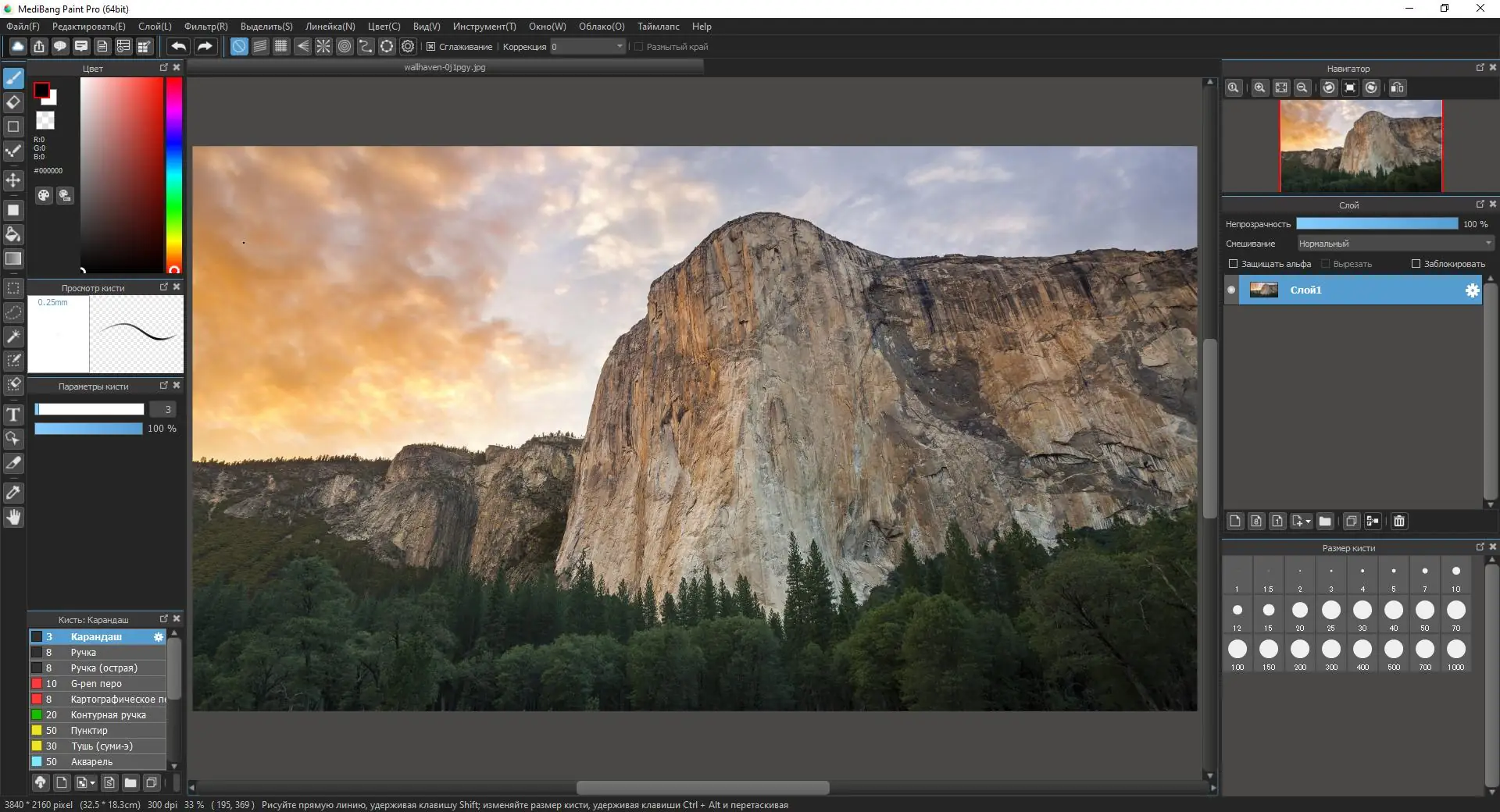 Работа с приложением