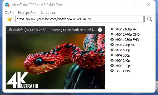 Работа с приложением