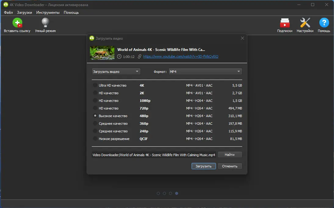 Работа с приложением