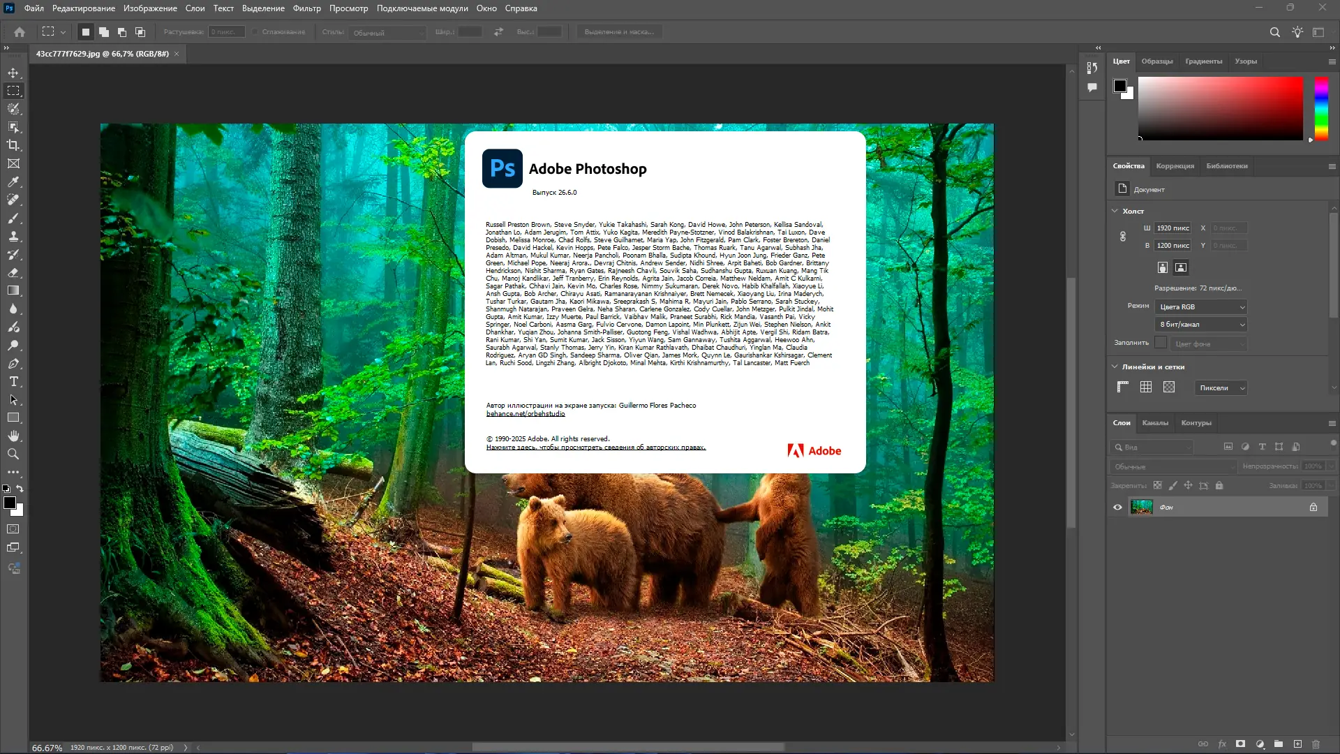 Работа с приложением