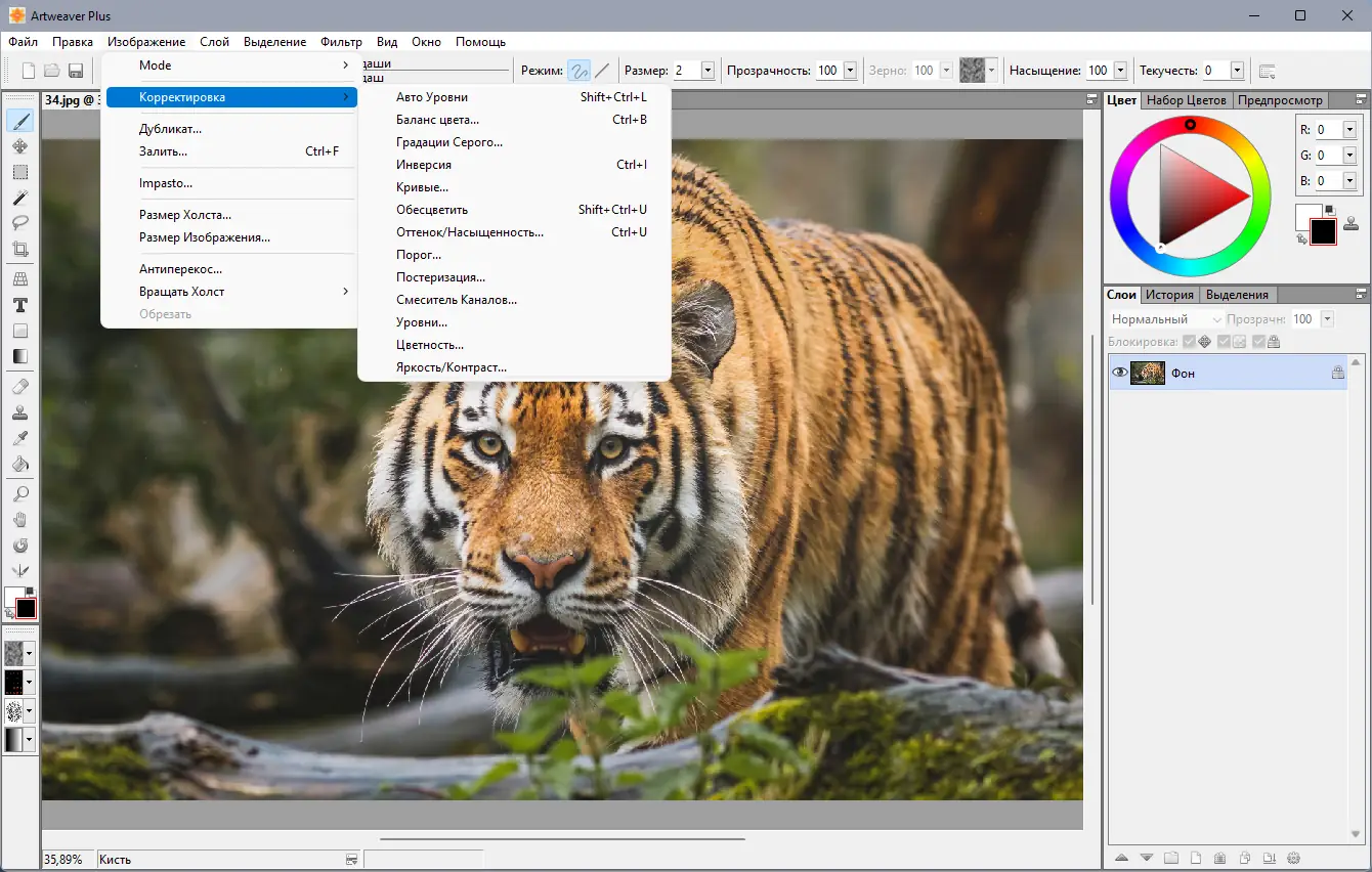 Работа с приложением