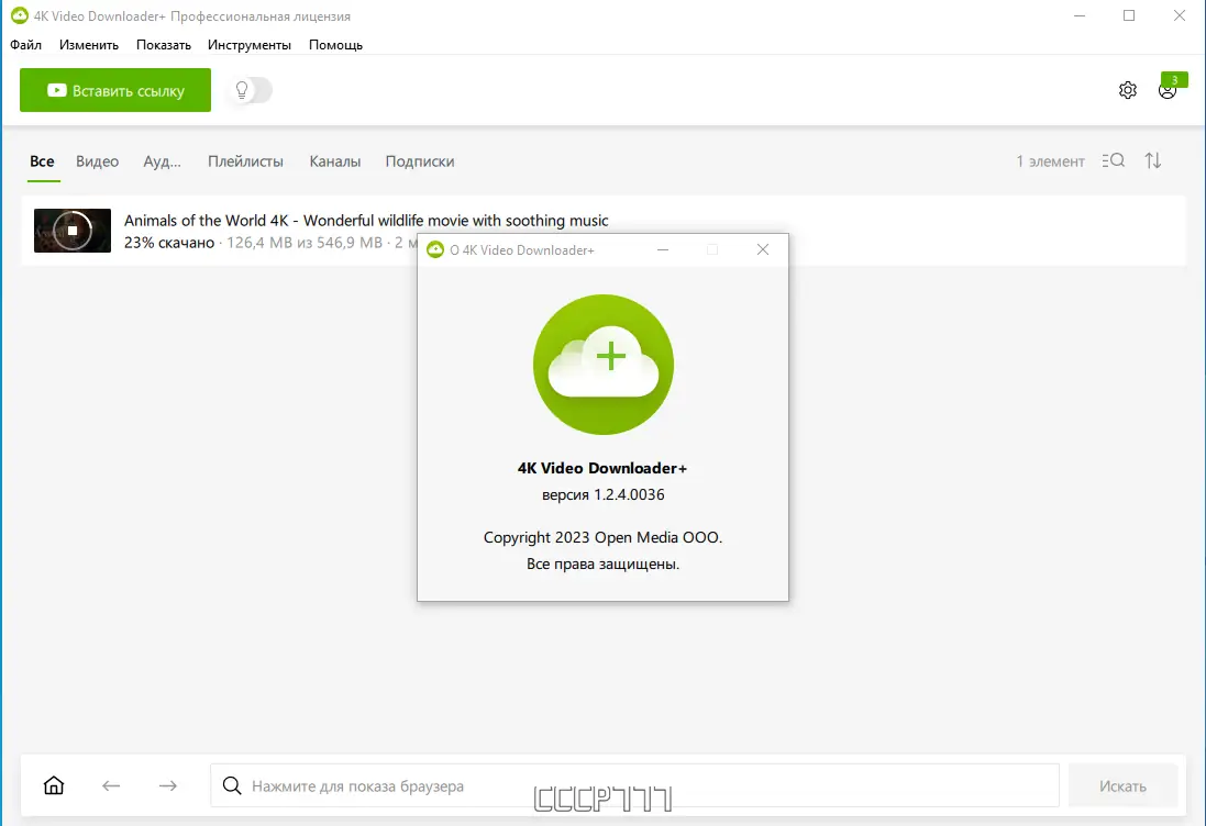 Установка 4K Video Downloader+ 1.2.4.0036 RePack (& Portable) by KpoJIuK [Multi Ru]