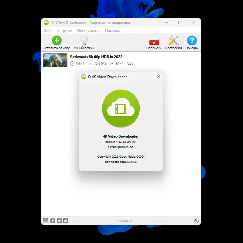 Установка 4K Video Downloader 4.22.2.5190 RePack (& Portable) by TryRooM [Multi Ru]