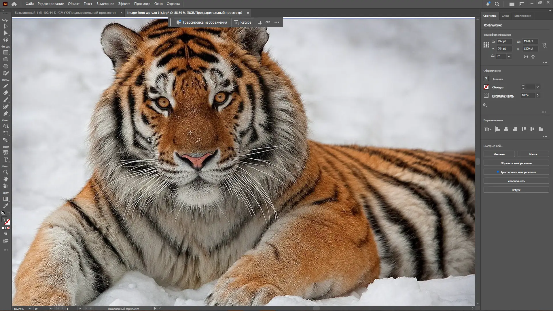 Установка Adobe Illustrator 2025 29.5.1.141 RePack by KpoJIuK [Multi Ru]