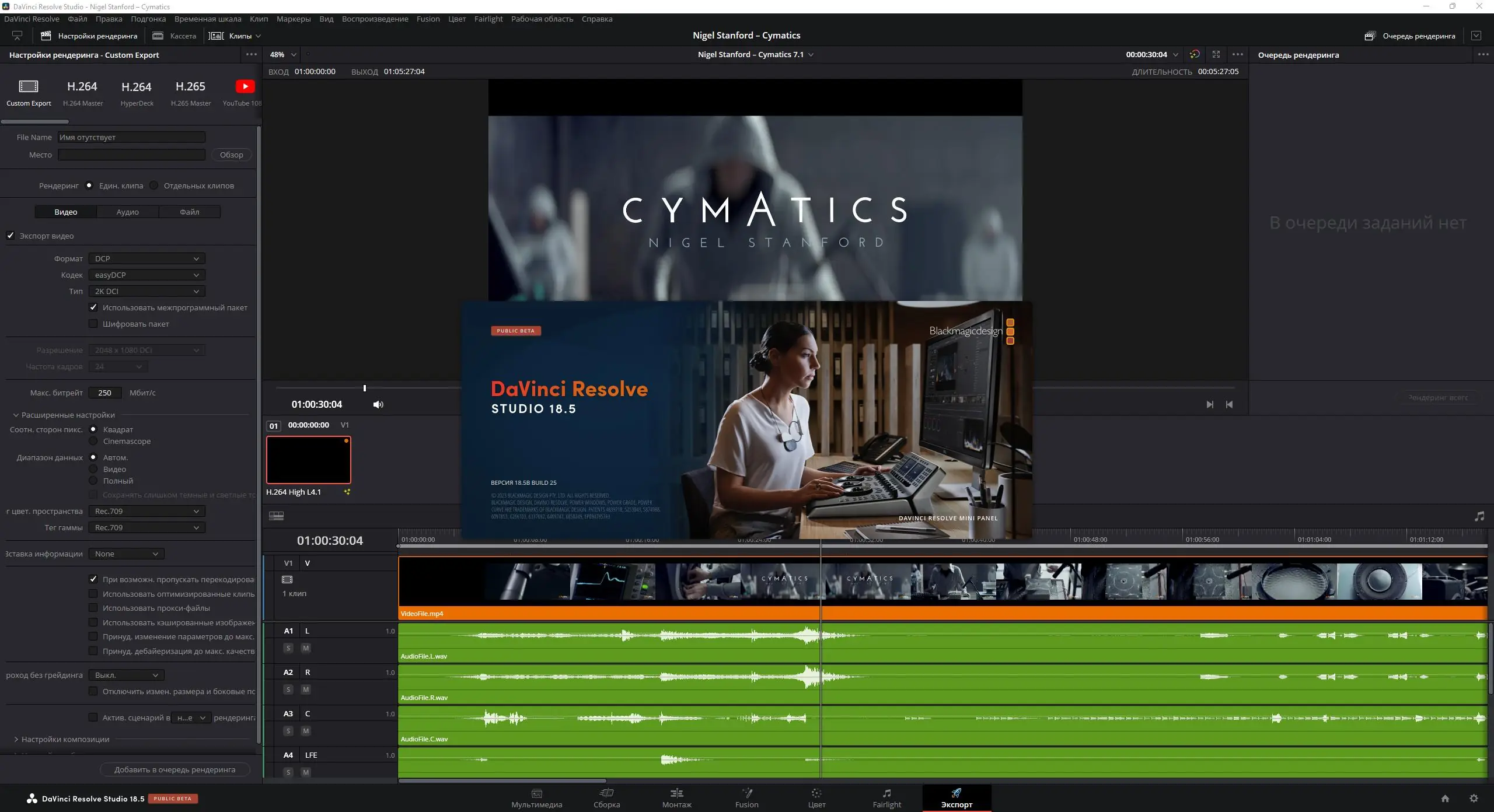 Установка Blackmagic Design DaVinci Resolve Studio 18.5b Build 25 Public Beta 3 [Multi Ru]