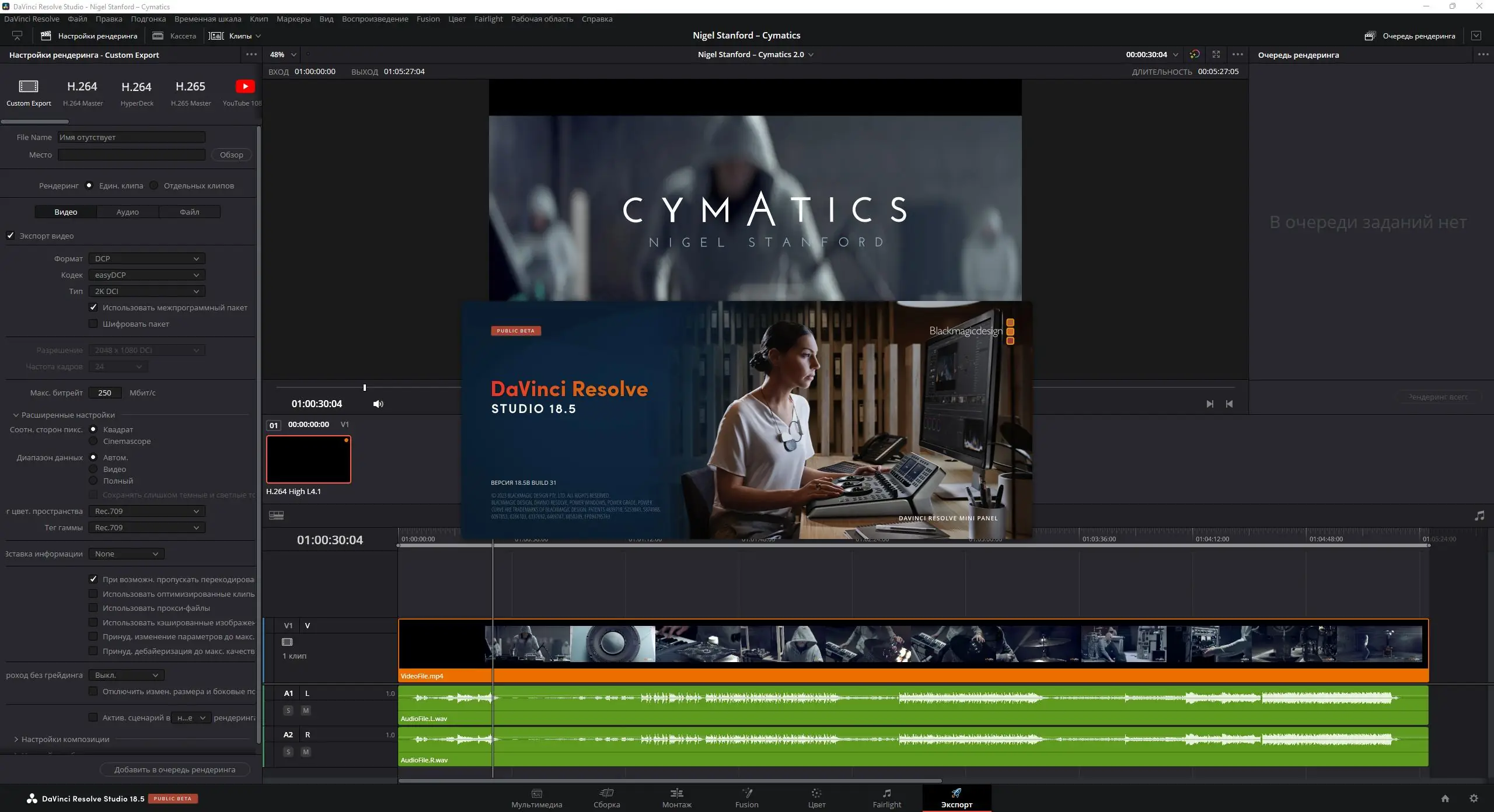 Установка Blackmagic Design DaVinci Resolve Studio 18.5b Build 31 Public Beta 4 [Multi Ru]