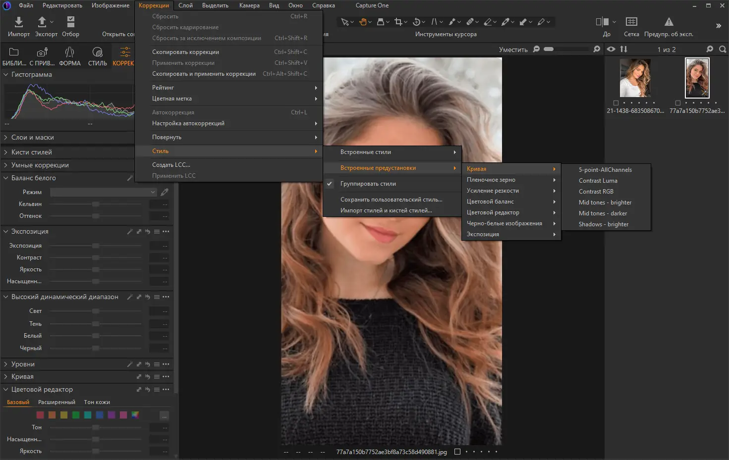 Установка Capture One 23 Enterprise 16.3.6.1949 RePack by KpoJIuK [Multi Ru]