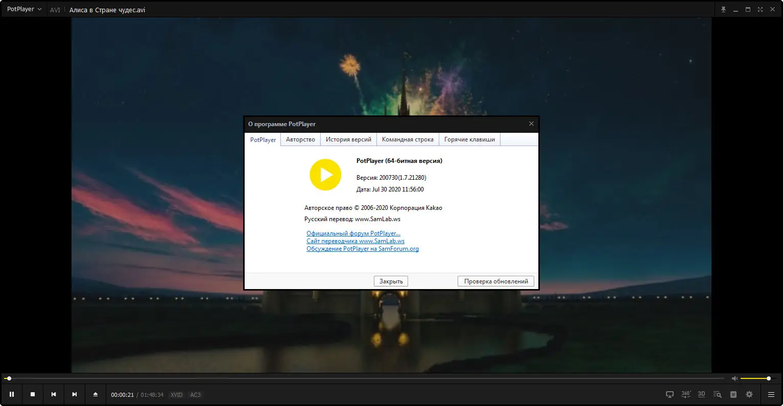 Установка Daum PotPlayer 1.7.21419 Stable (2021) PC
