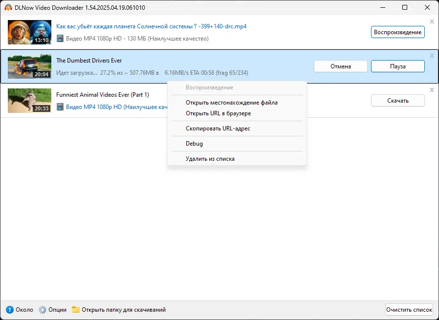 Установка DLNow Video Downloader 1.54.2025.04.19 RePack (& Portable) by elchupacabra [Multi Ru]