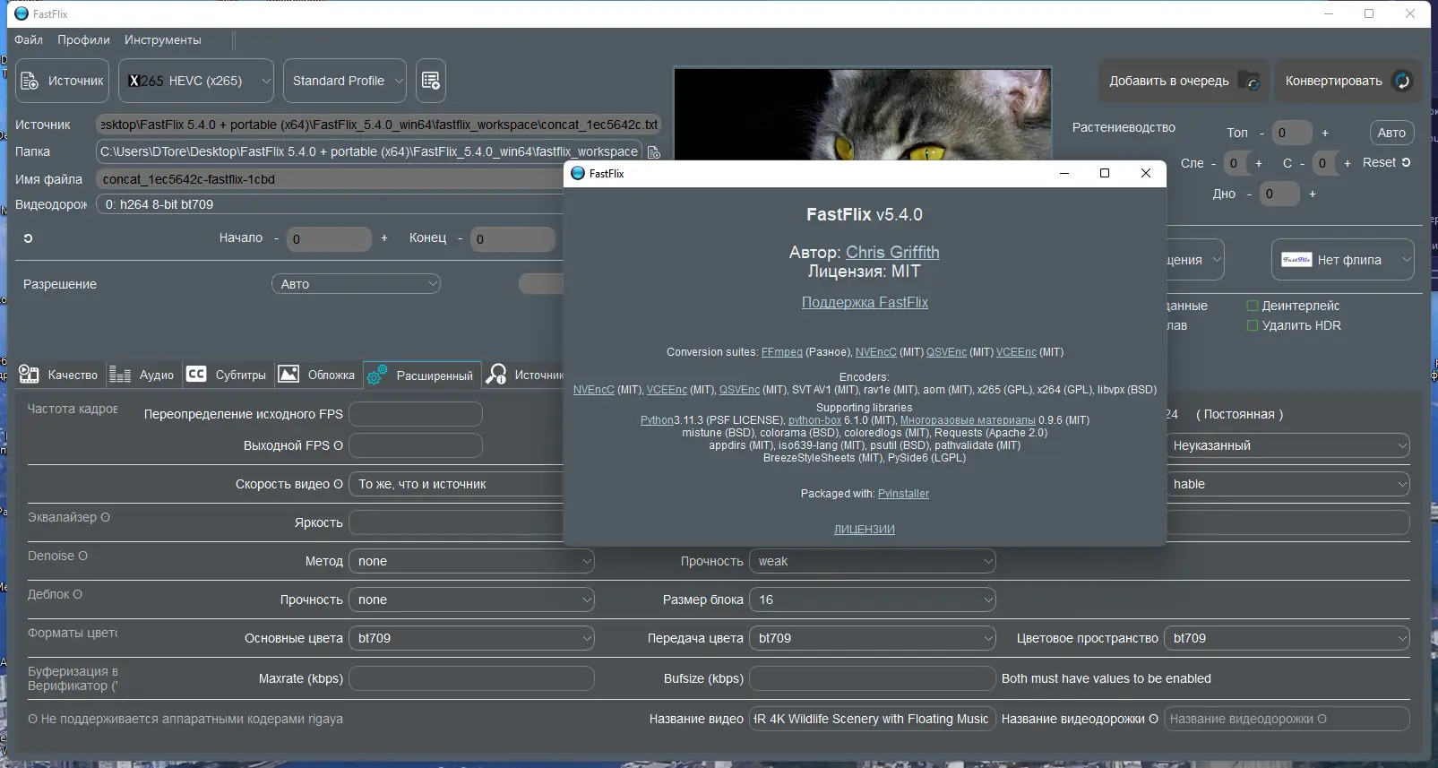 Установка FastFlix 5.5.5 (2023) PC + portable