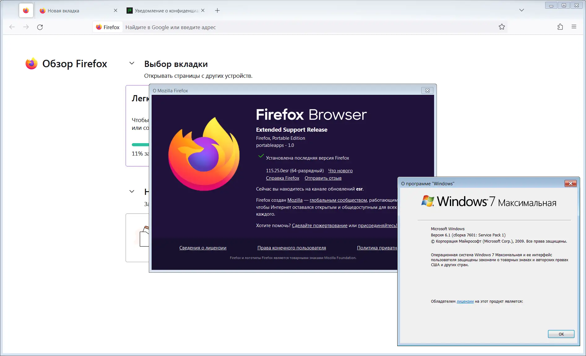 Установка Firefox Browser ESR 115.25.0 Portable by PortableApps [Ru]