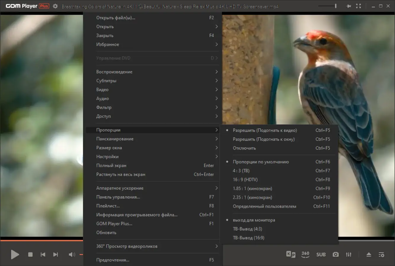 Установка GOM Player Plus 2.3.90.5360 Portable by 7997 [Multi Ru]
