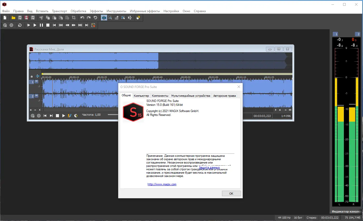 Установка MAGIX Sound Forge Pro Suite 15.0 Build 161 (x64) RePack by elchupacabra [Multi Ru]