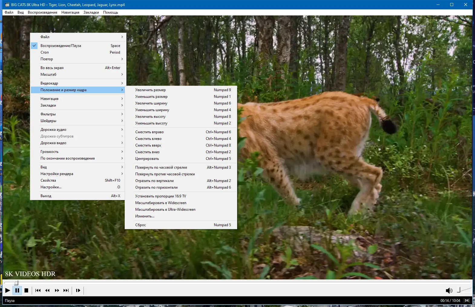 Установка Media Player Classic Home Cinema (MPC-HC) 2.1.3 + Portable (unofficial) [Multi Ru]