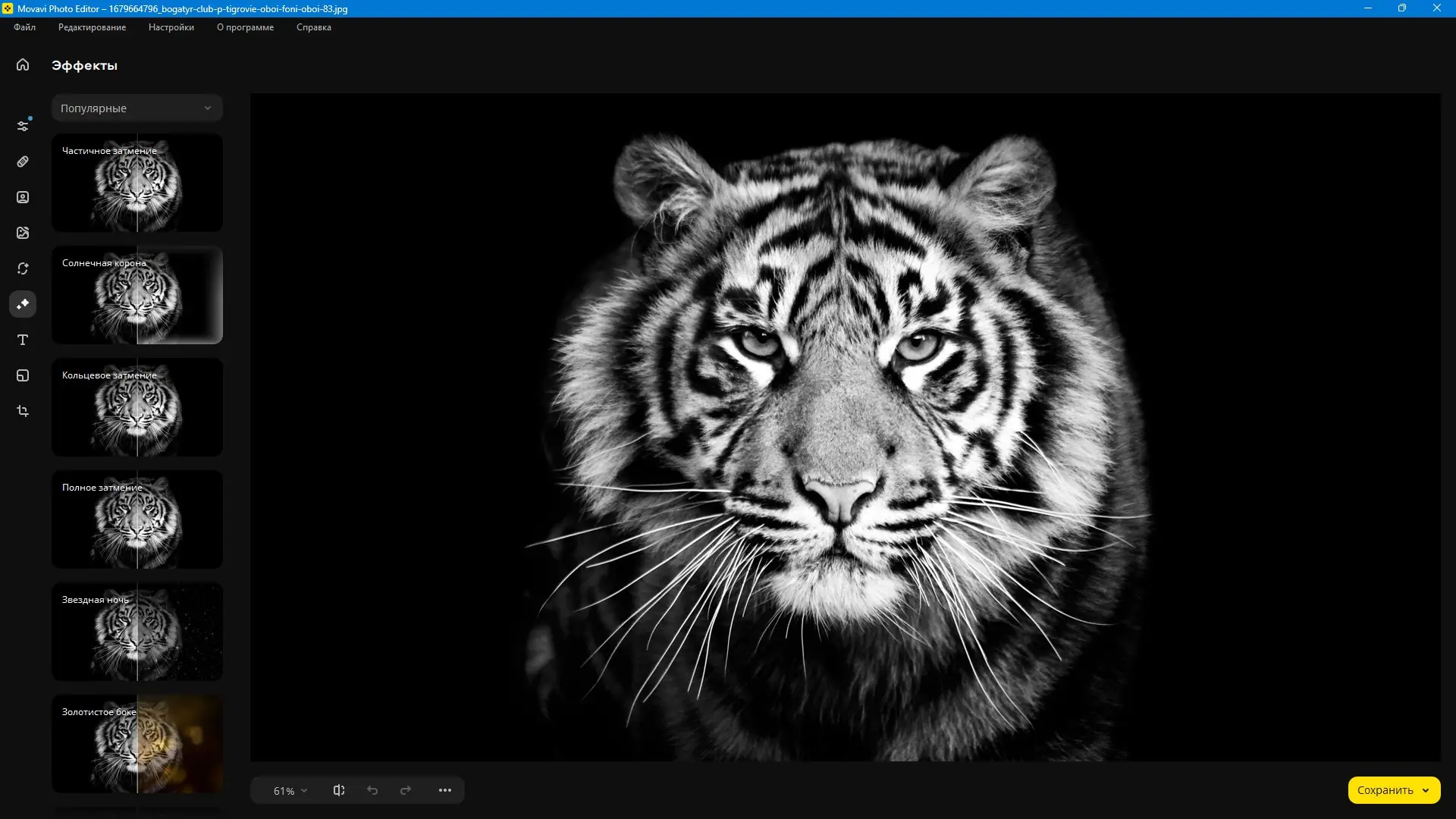 Установка Movavi Photo Editor 24.3.0 Portable by FC Portables [Multi Ru]