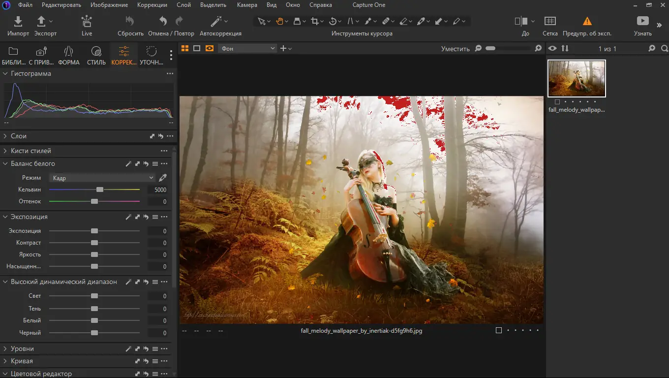 Установка Phase One Capture One 22 Enterprise 15.3.1.17 RePack by KpoJIuK [Multi Ru]