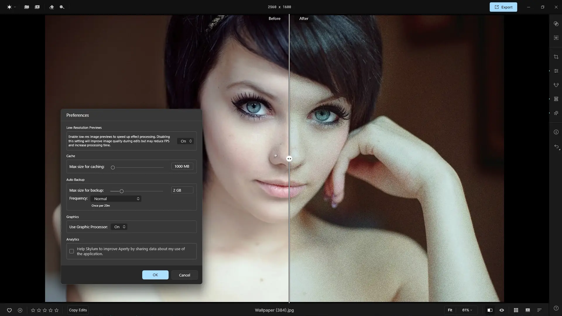 Установка Skylum Aperty 1.4.0.1260 RePack (& Portable) by elchupacabra [Multi]