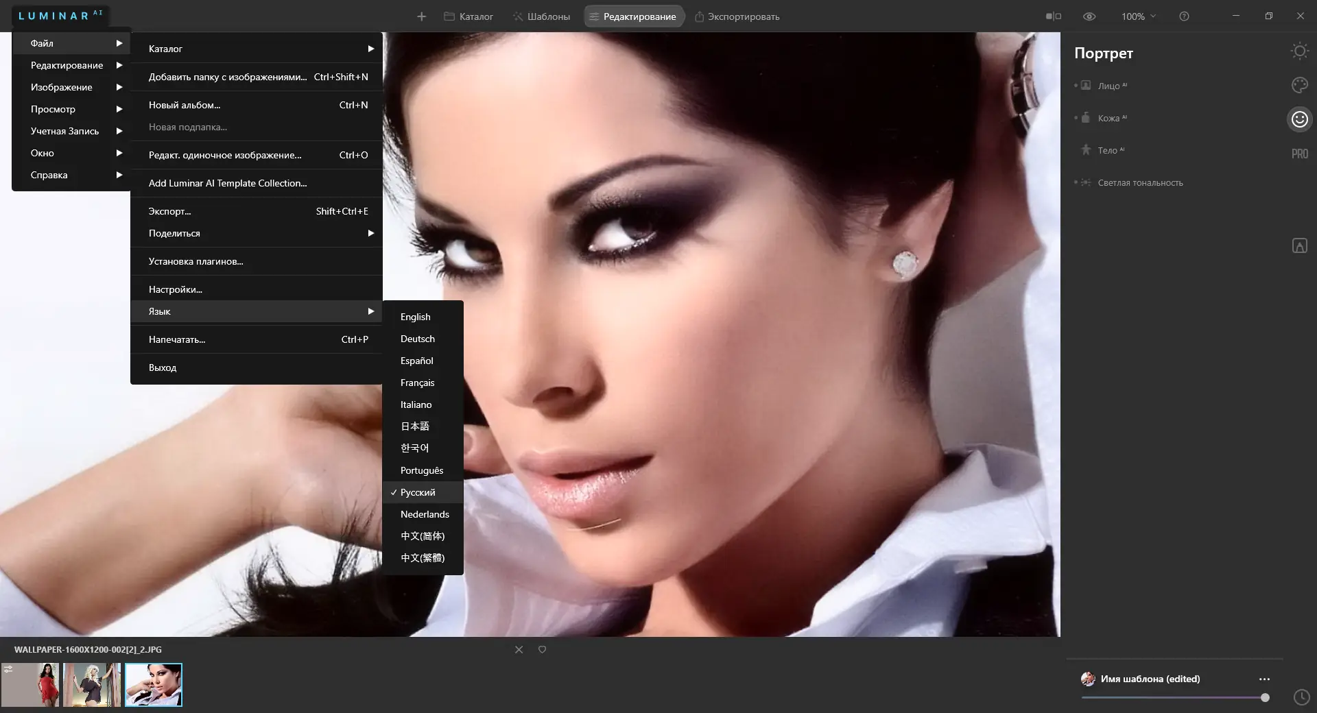 Установка Skylum Luminar AI 1.3.0.8137 (2021) РС RePack & Portable by elchupacabra