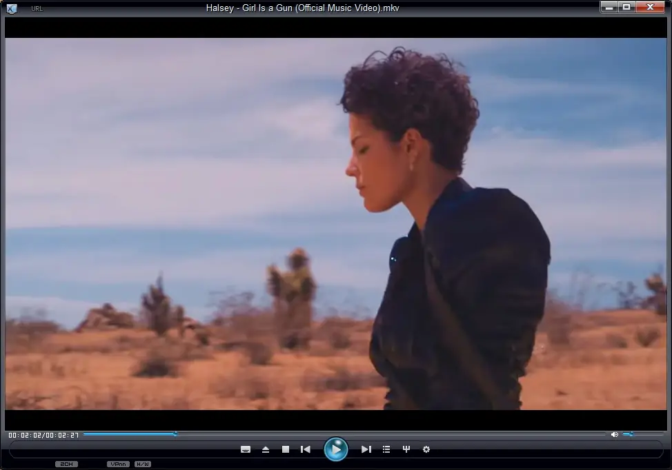 Установка The KMPlayer 4.2.2.63 repack by cuta (build 1) [Multi Ru]