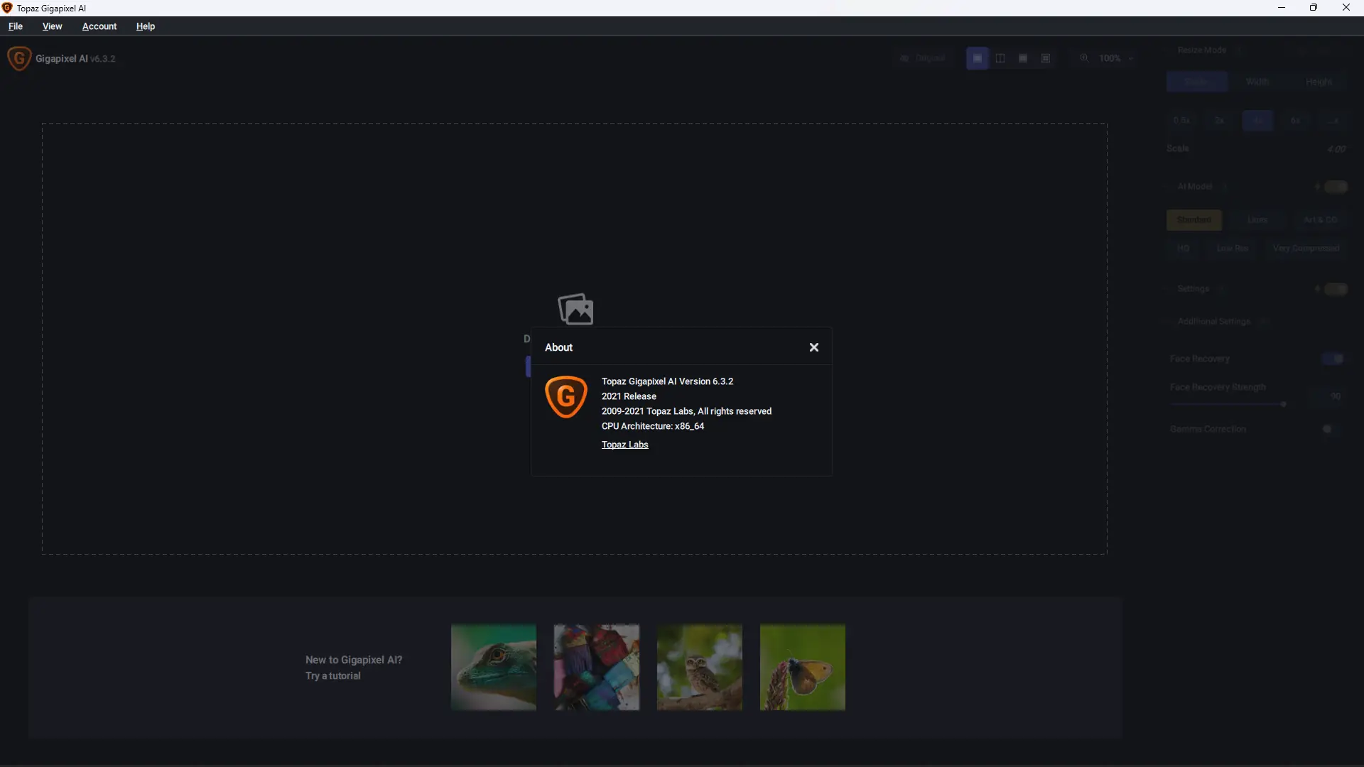 Установка Topaz Gigapixel AI 6.3.2 RePack (& Portable) by TryRooM [En]