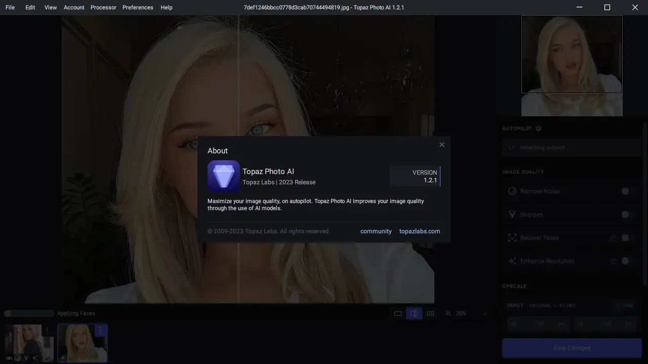 Установка Topaz Photo AI 1.2.1 (x64) RePack (& Portable) by elchupacabra [En]