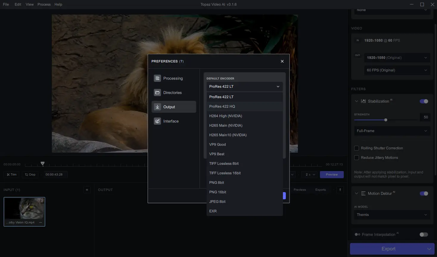 Установка Topaz Video AI 3.1.6 (x64) Portable by 7997 [En]