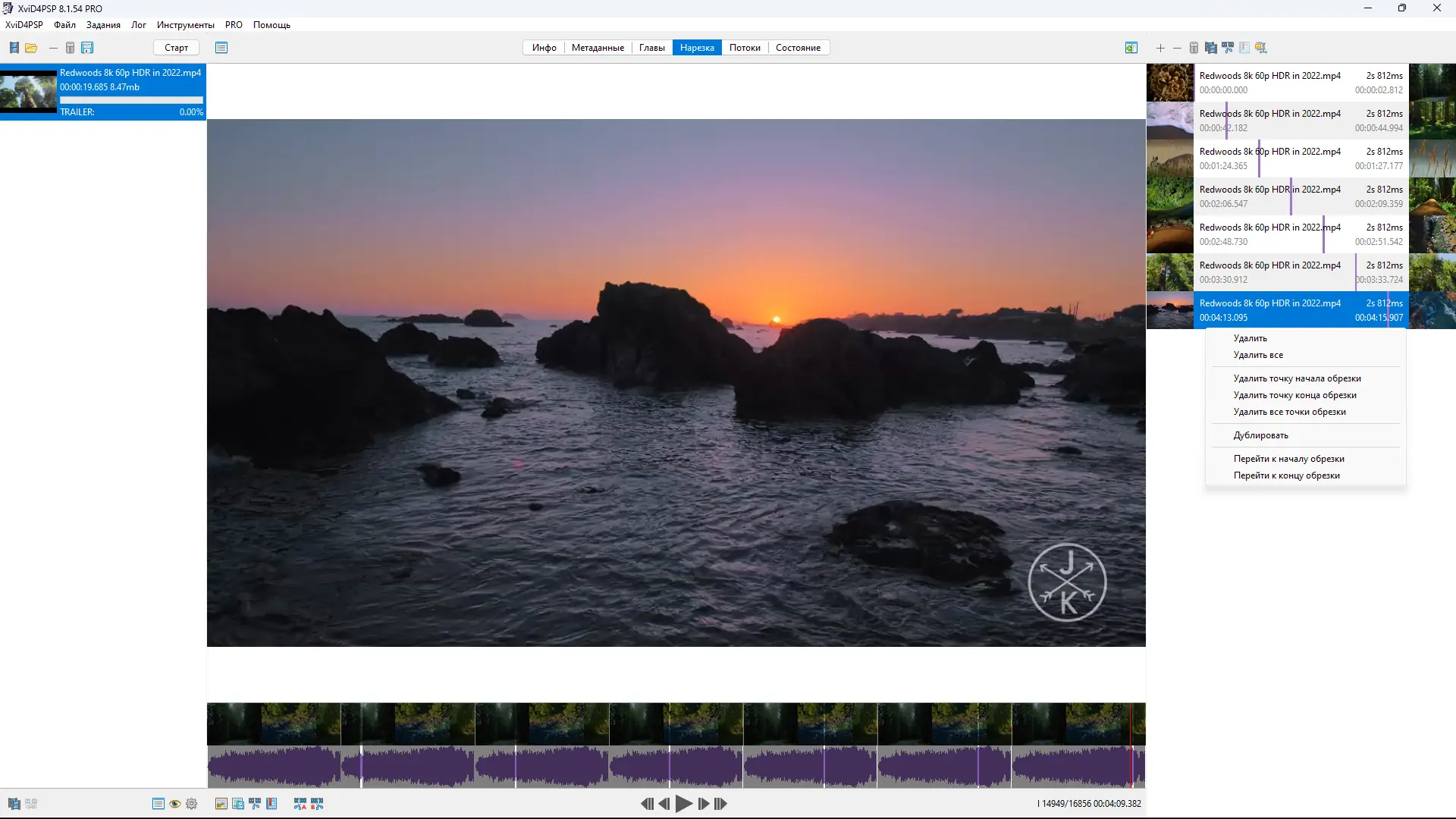 Установка XviD4PSP 8.1.54 Pro (x64) Portable by conservator [Multi Ru]