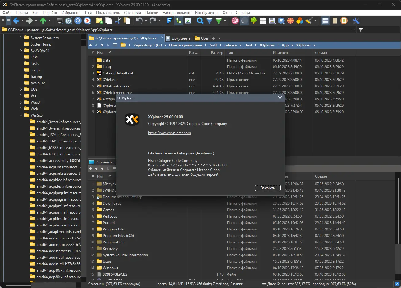 Установка XYplorer 25.00.0100 RePack (& Portable) by elchupacabra [Multi Ru]